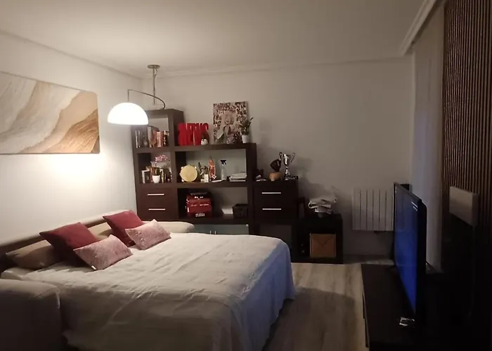 Apartment Herrera Confort San Sebastian -garaje-