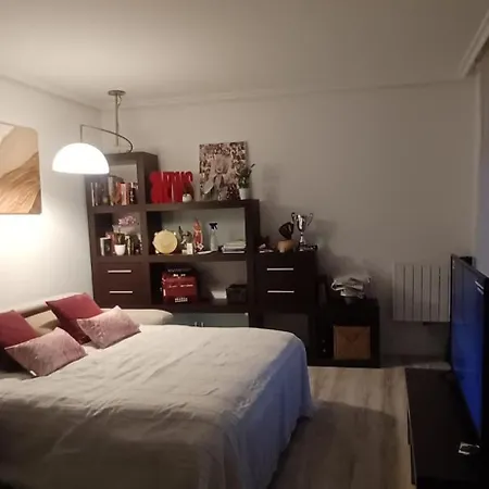 Апартаменты Herrera Confort San Sebastian -garaje-